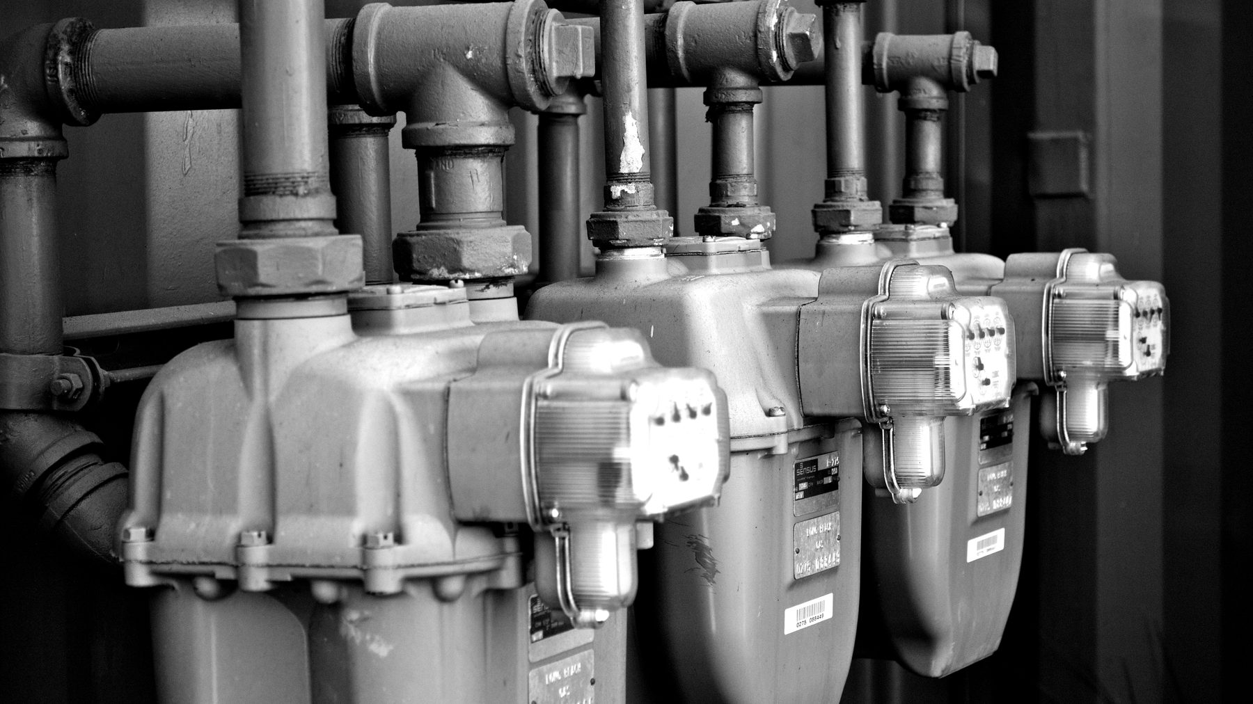 A row of pumps and pipework in a plant room
